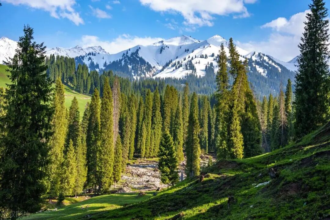 我国林草产业总产值近11万亿元